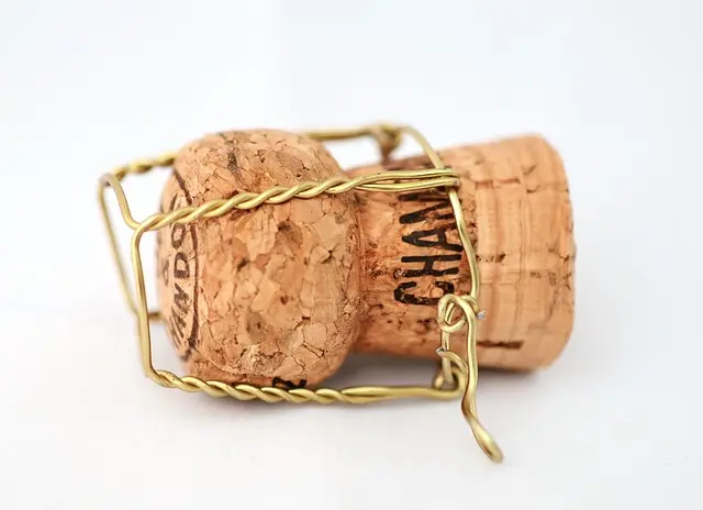 Champagne bio : Guide d'achat complet