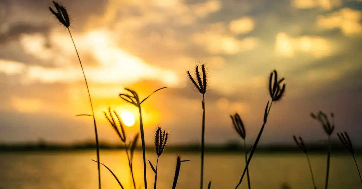 5 Astuces Anti Stress Pour Garder Son Calme à Tout Instant