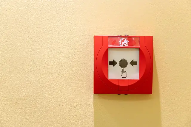 Urgence alarme : 10 réflexes indispensables à adopter