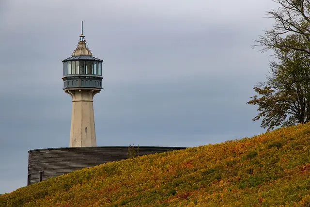 Les Pires Erreurs à Éviter Pendant les Soldes Automne
