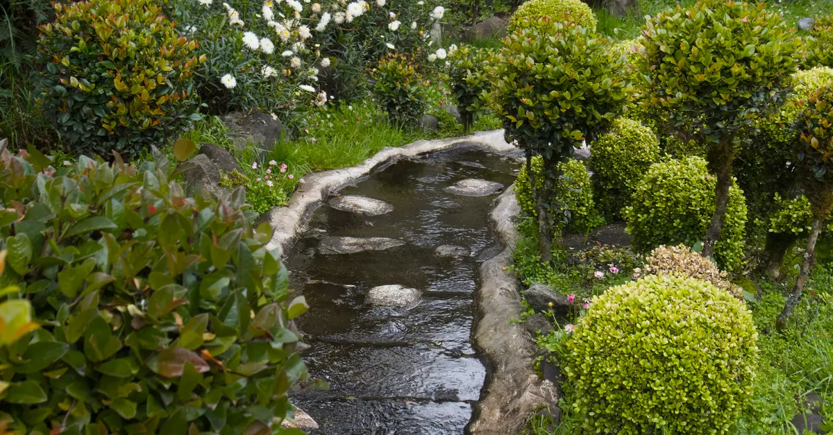 Pourquoi créer un jardin pour la faune est essentiel