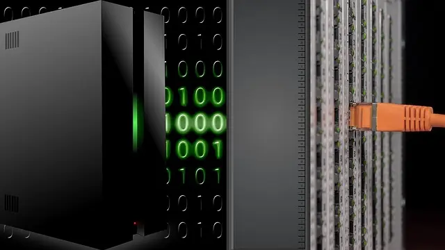Comment la Digitalisation Transforme la Distribution Sportive
