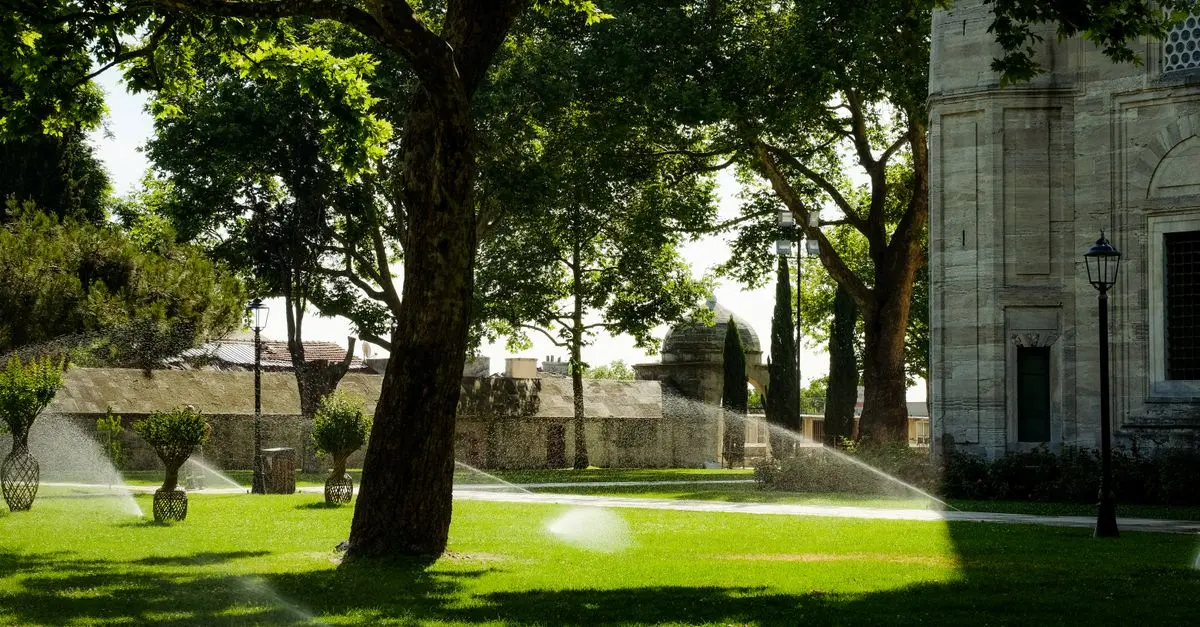 Les erreurs à éviter lors de l'installation d'un système d'irrigation