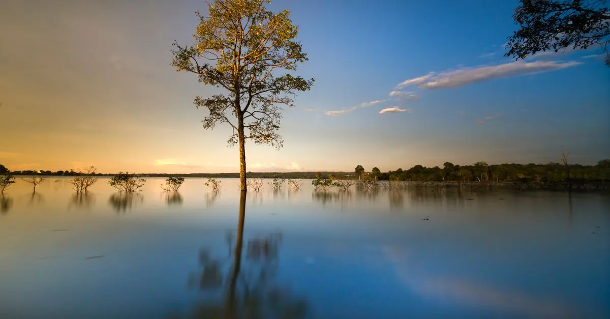 Comment la nature favorise votre relaxation au quotidien
