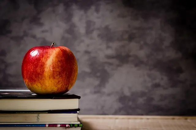 Las Mejores Plataformas para Clases de Español Online