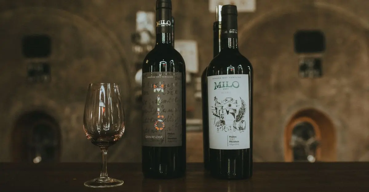 Exploring Vegan Wine Options