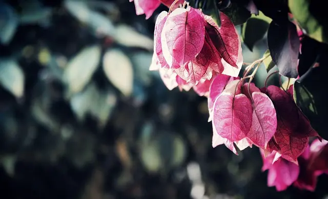 Les erreurs fréquentes à éviter en jardinage bio