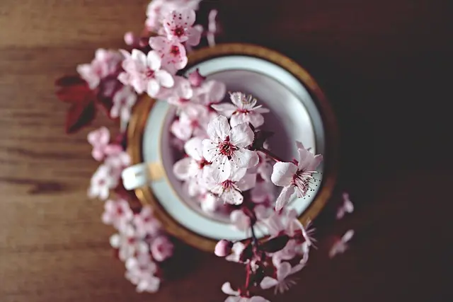 Comment créer ses propres produits de beauté naturels maison