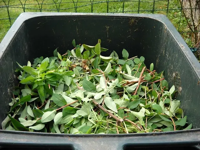 Comment choisir la bonne solution de gestion des déchets