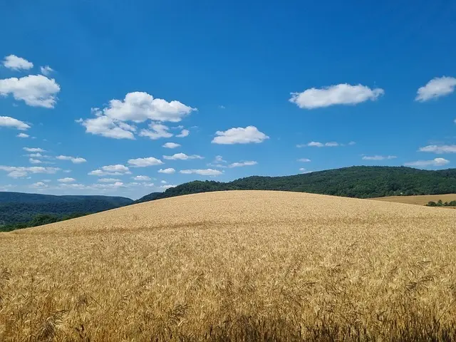 Comment éviter les problèmes courants avec votre remorque agricole