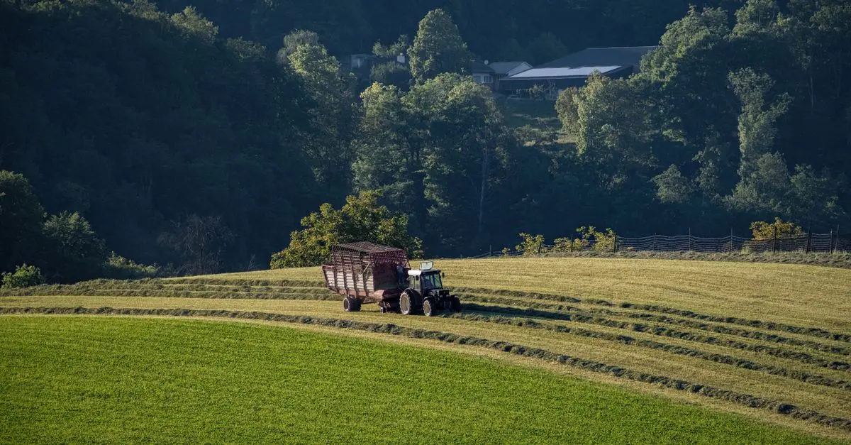 Les meilleures remorques agricoles pour terrain accidenté