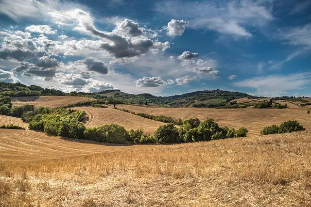 Les meilleures remorques agricoles pour petits exploitants