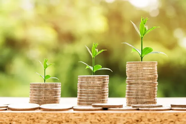 Comment Saisir des Opportunités Financières Inexploitées