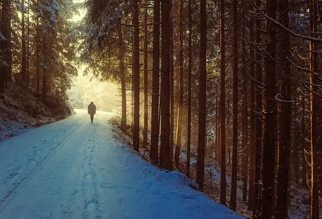 10 Effective Tips for Enhancing Your Walking Routine for Fitness