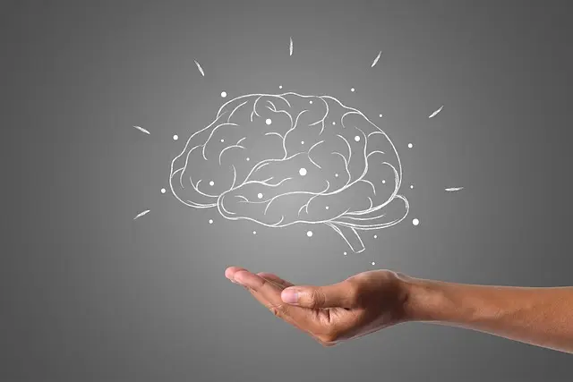 Cómo utilizar la neuroeducación para potenciar tu aprendizaje