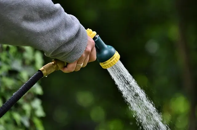 Les meilleures techniques d'irrigation pour votre jardin