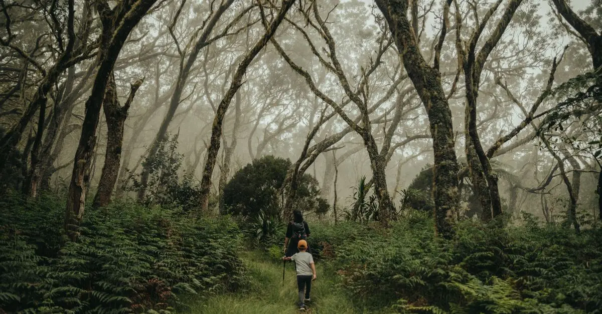 10 Essential Tips for Planning a Family Nature Walk