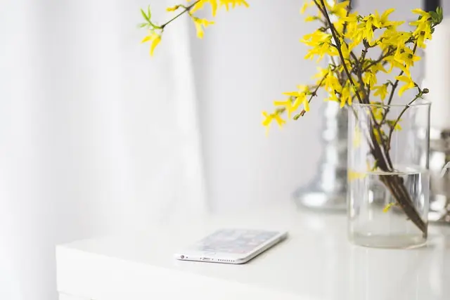 The Rise of Mobile Workspaces: Adapting to a New Paradigm