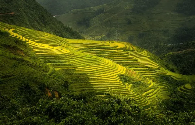 Comment choisir les pièces agricoles pour une performance optimale