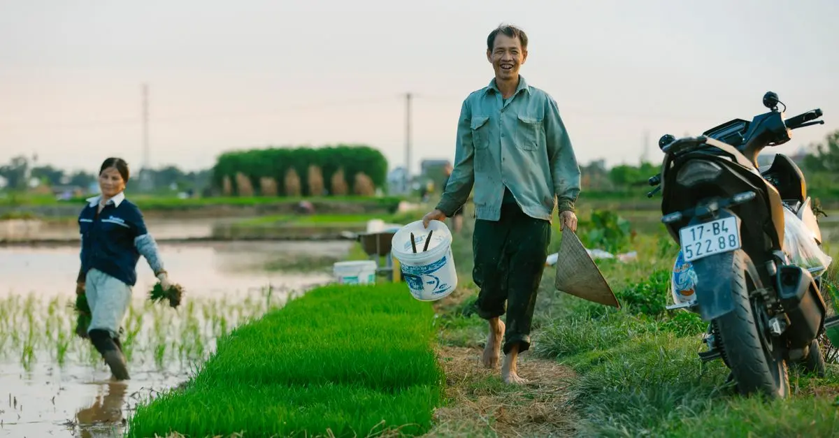 Comment optimiser votre présence en ligne pour vendre vos produits agricoles