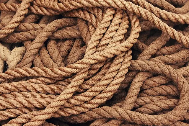 Comment voyager écoresponsable : conseils pratiques