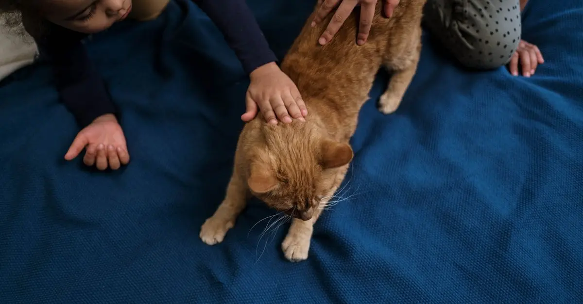 10 Essential Tips for Choosing the Right Pet for Your Family