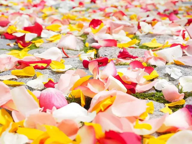 How to Incorporate Seasonal Colors in Home Decor