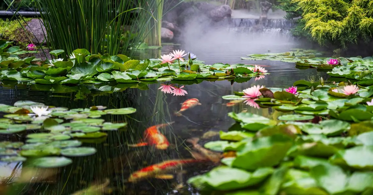7 Astuces Pour Pratiquer le Jardinage Zen à Domicile