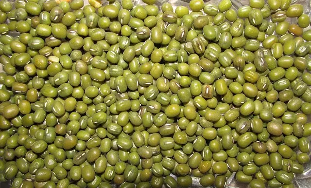 Les Bienfaits de Consommer des Légumes Frais dans Votre Panier