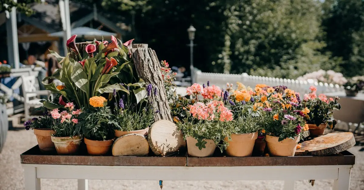 Guida Pratica per Costruire un Giardino Verticale Fai Da Te