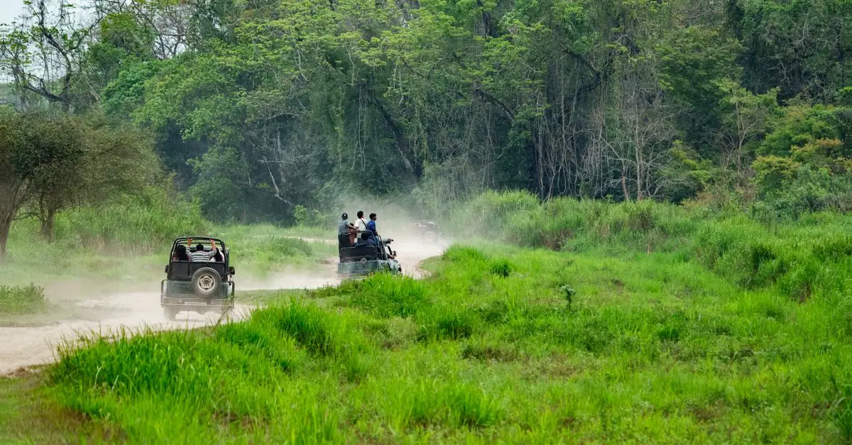 10 Consigli per Organizzare un Viaggio Eco-Sostenibile