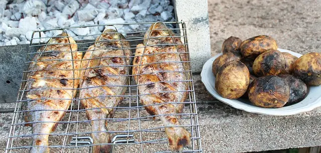 Comment Préparer le Poisson à la Plancha : Guide Pratique