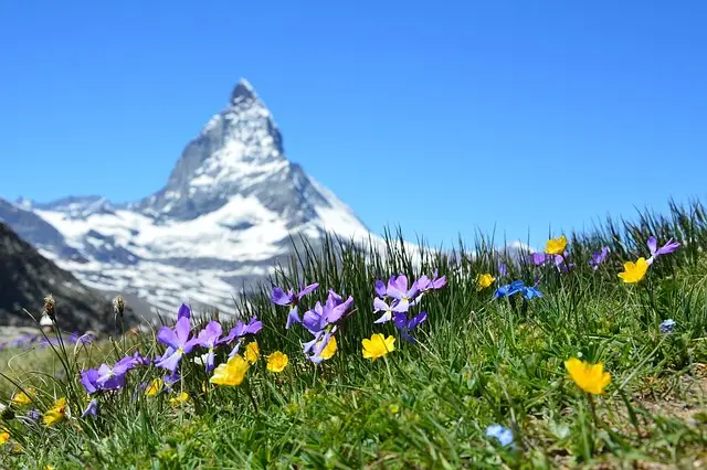 Top 5 des incontournables à visiter en Suisse