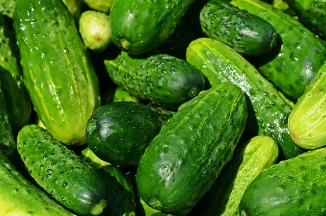 Les meilleures pratiques pour la vente directe à la ferme