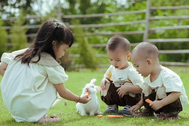10 Astuces pour Un Week-End en Famille Mémorable