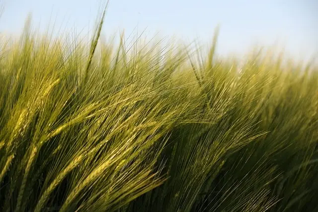 Comprendre les différentes catégories de pièces agricoles