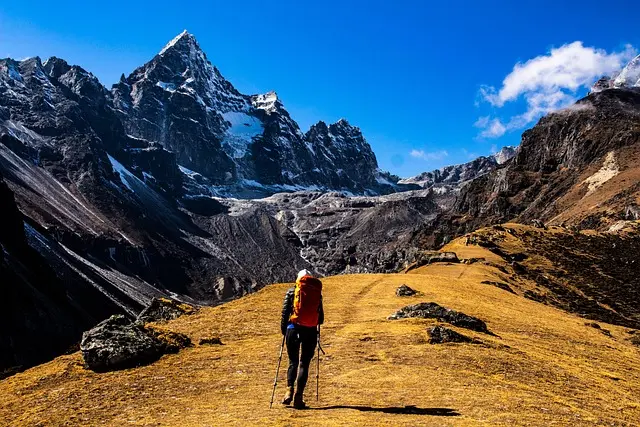 Cómo disfrutar de un día perfecto en la naturaleza: consejos esenciales
