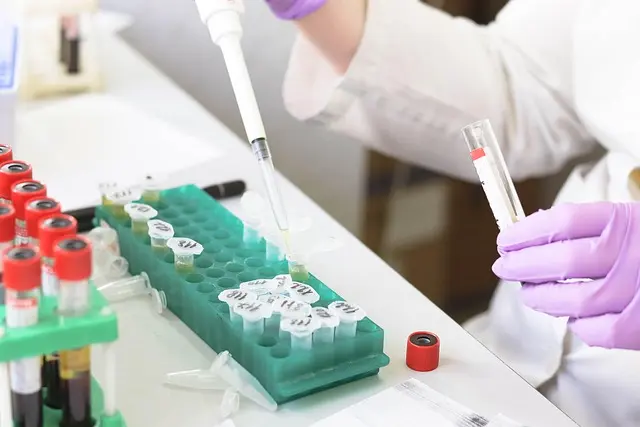 Les Défis des Découvertes Scientifiques : Comment Innover avec Succès