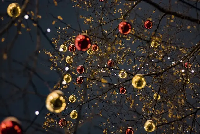 Comment créer une décoration lumineuse écoresponsable pour votre sapin