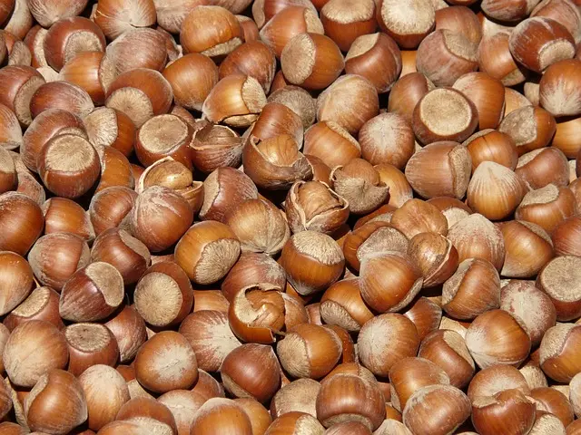 Guide complet des protéines végétales pour sportifs vegans
