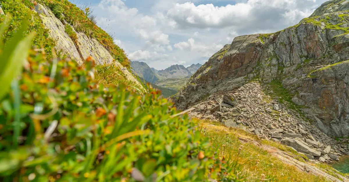 Les secrets pour une exploration réussie : Guide complet