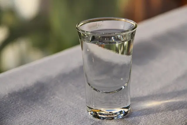 Comment Organiser une Dégustation de Liqueurs Réussie