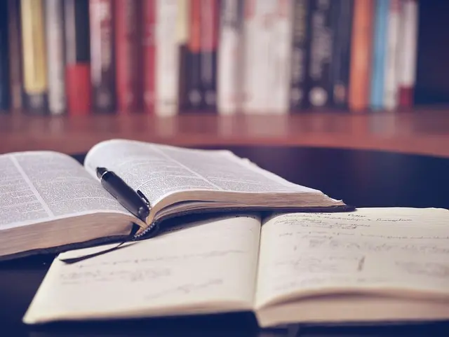 Top 10 Developer Resources You Need to Succeed
