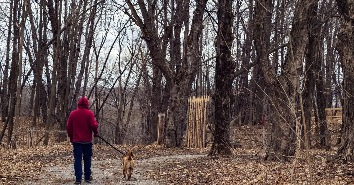 How to Create an Effective Walking Routine for Optimal Fitness