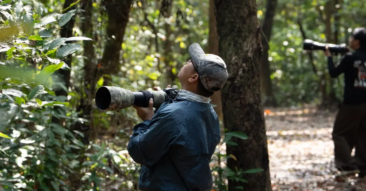 How to Start Bird Watching: A Beginner’s Guide