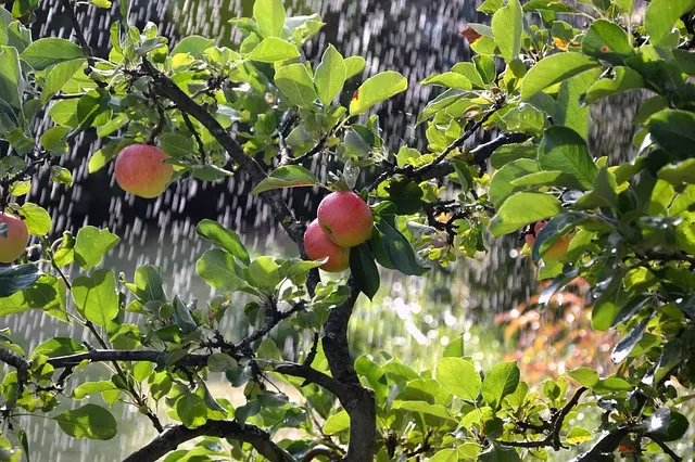 Comment concevoir un système d'irrigation efficace pour votre jardin