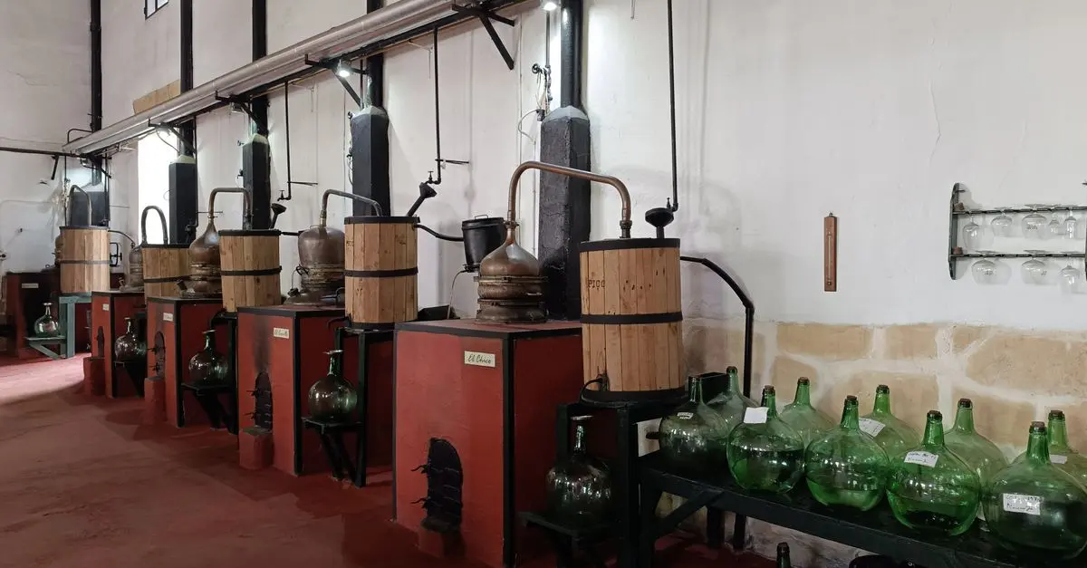 Les Terrains de Dégustation : Où Apprécier les Meilleures Liqueurs