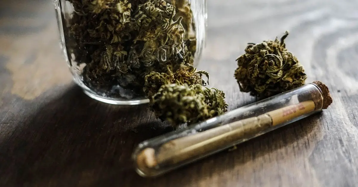 Comment utiliser les fleurs CBD pur pour améliorer votre bien-être