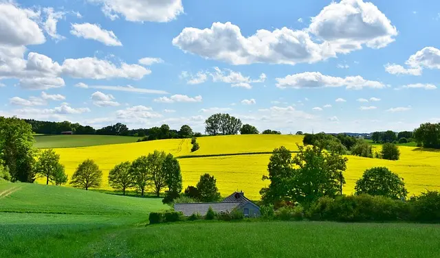 Comment améliorer la sécurité de votre remorque agricole : 7 conseils