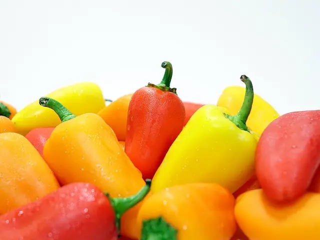 Comment créer un jardin biologique pour débutants
